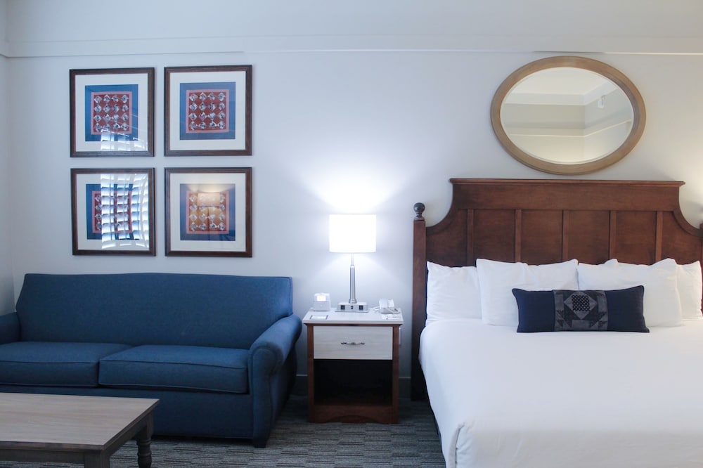Standard Room, 1 King Bed with Sofa bed