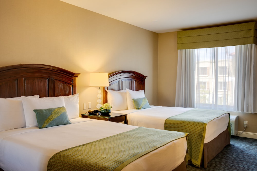 Studio Suite, Multiple Beds - Photo 2