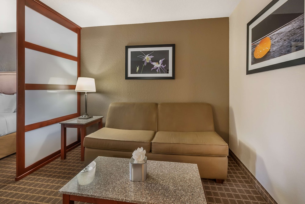 Suite, 1 King Bed - Photo 3