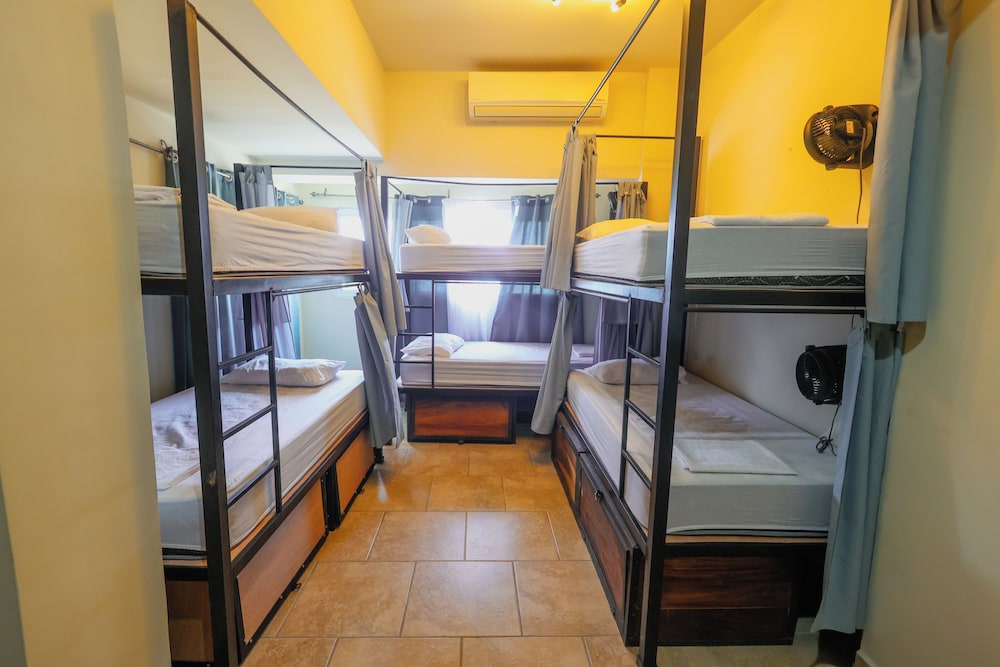Basic Shared Dormitory photo 1