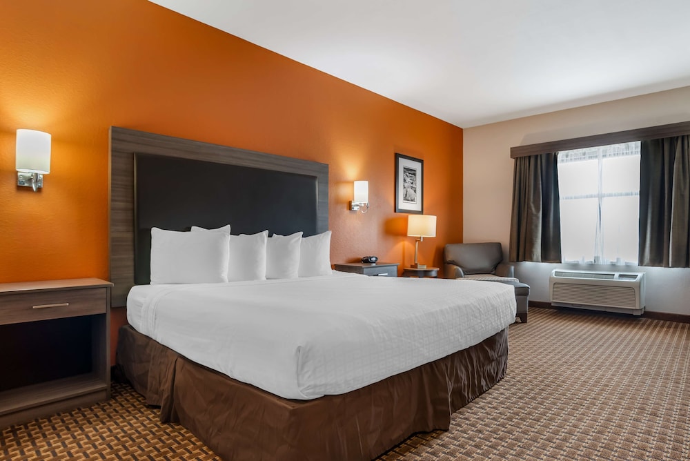 Standard Room, 1 King Bed, Non Smoking, Refrigerator & Microwave