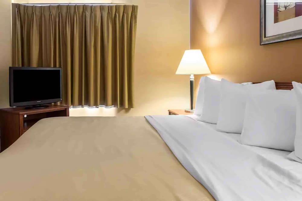 Deluxe Suite, Refrigerator & Microwave photo 2