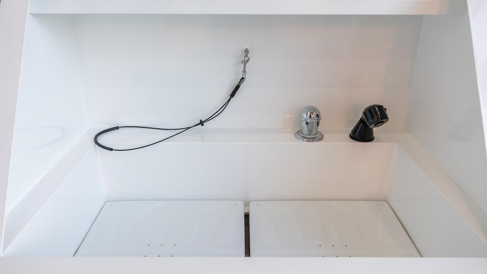 Basic Room, 1 Bedroom (A-02) - Photo 4