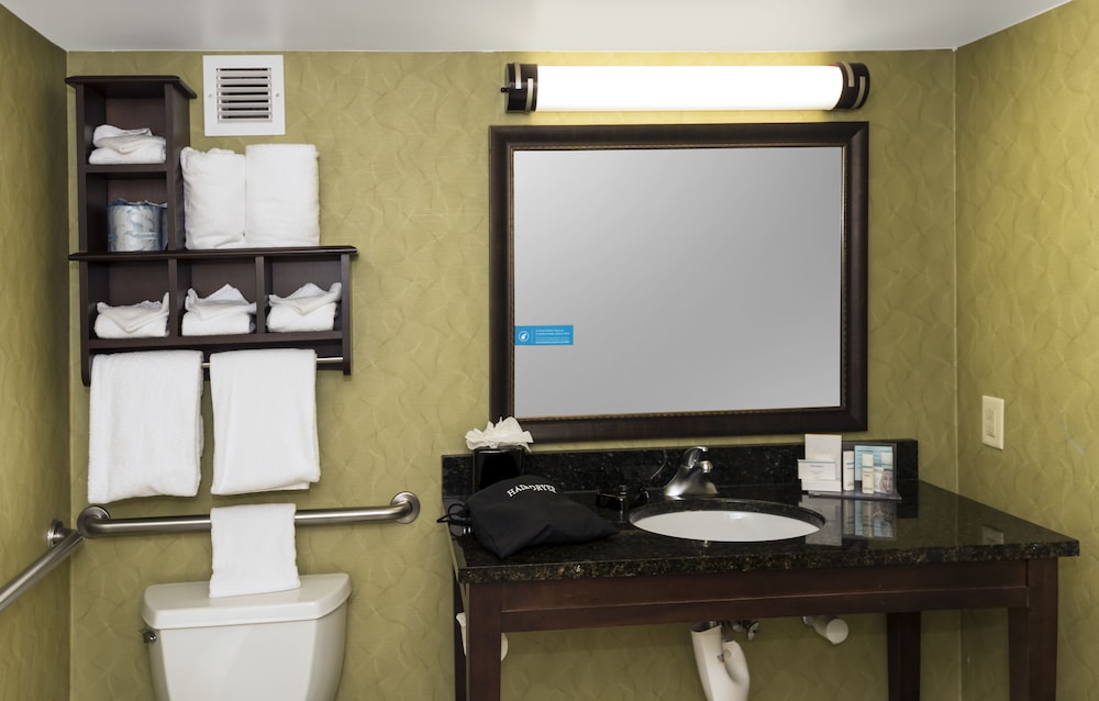 Room, 1 King Bed, Accessible - Photo 3