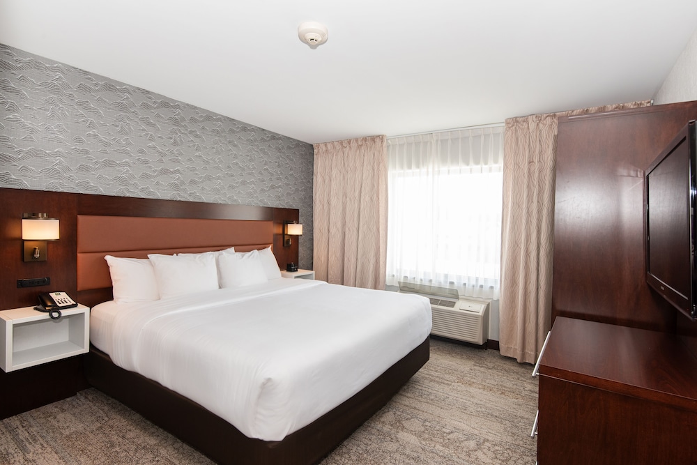 Suite, 1 King Bed, Non Smoking (Efficiency) photo 1
