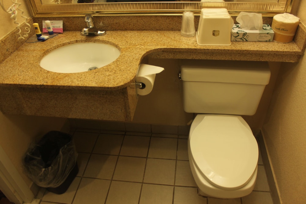 Standard Room, 1 King Bed, Accessible, Bathtub - Photo 5