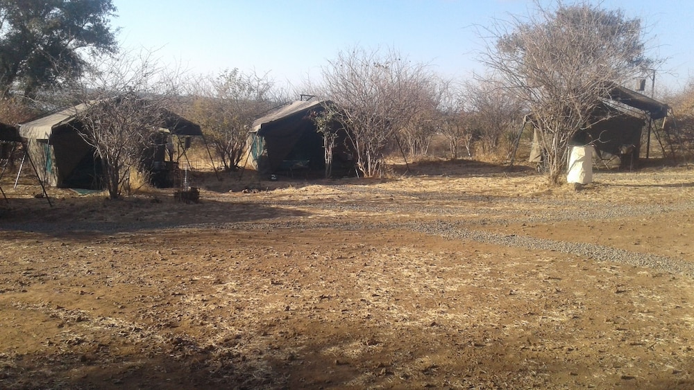 Luxury Tent photo 2