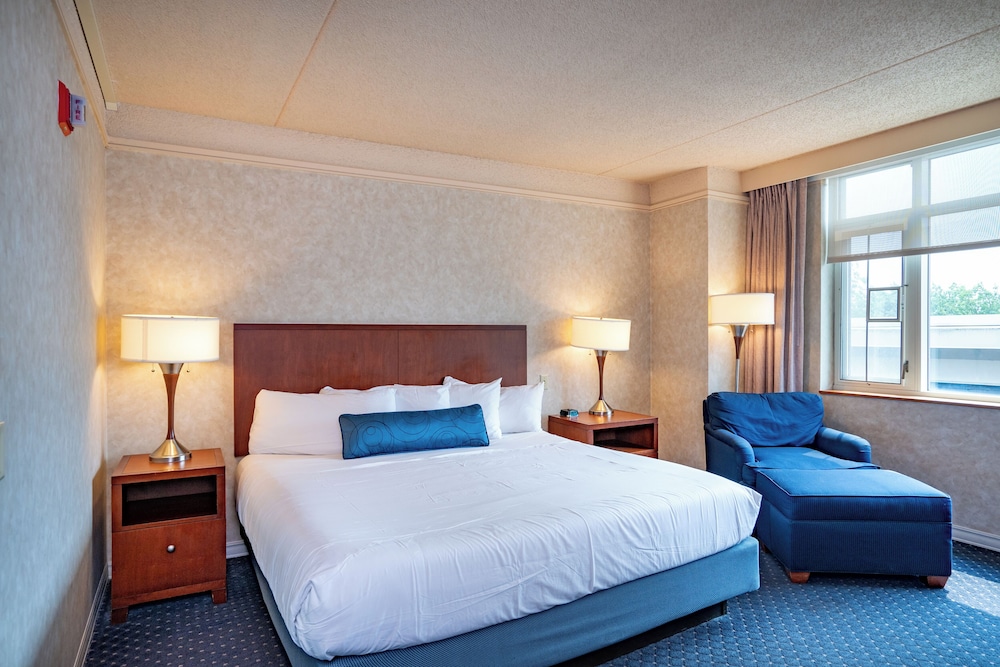 Standard Room, 1 King Bed, Accessible - Photo 3