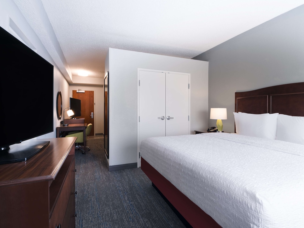Suite, 1 Bedroom - Photo 3