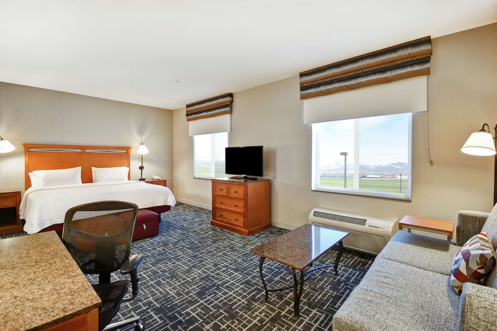 Suite, 1 King Bed, Accessible, Non Smoking, photo 6