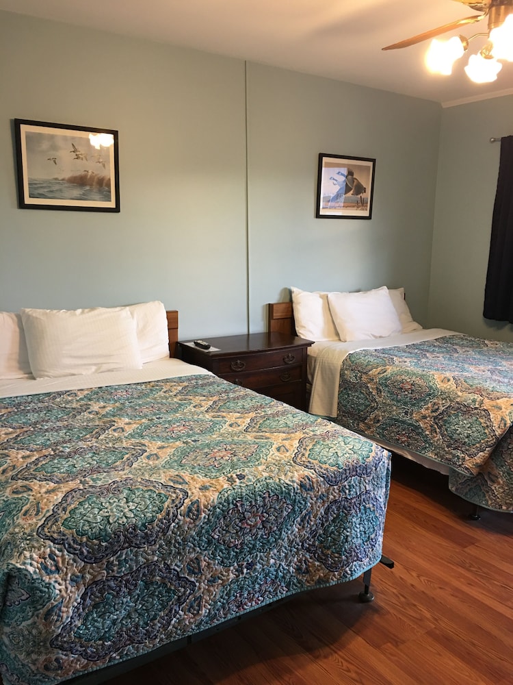 Standard Double Room, 2 Double Beds, Non Smoking (Pet Friendly)