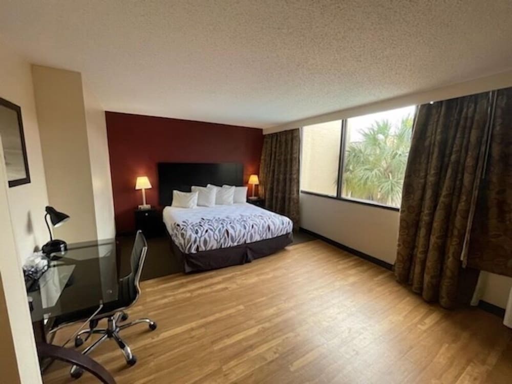 Room, 1 King Bed photo 1