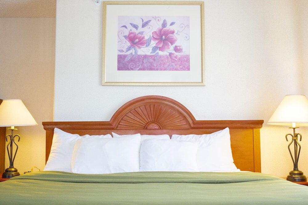 Standard Room, 1 King Bed, Non Smoking, Refrigerator - Photo 1