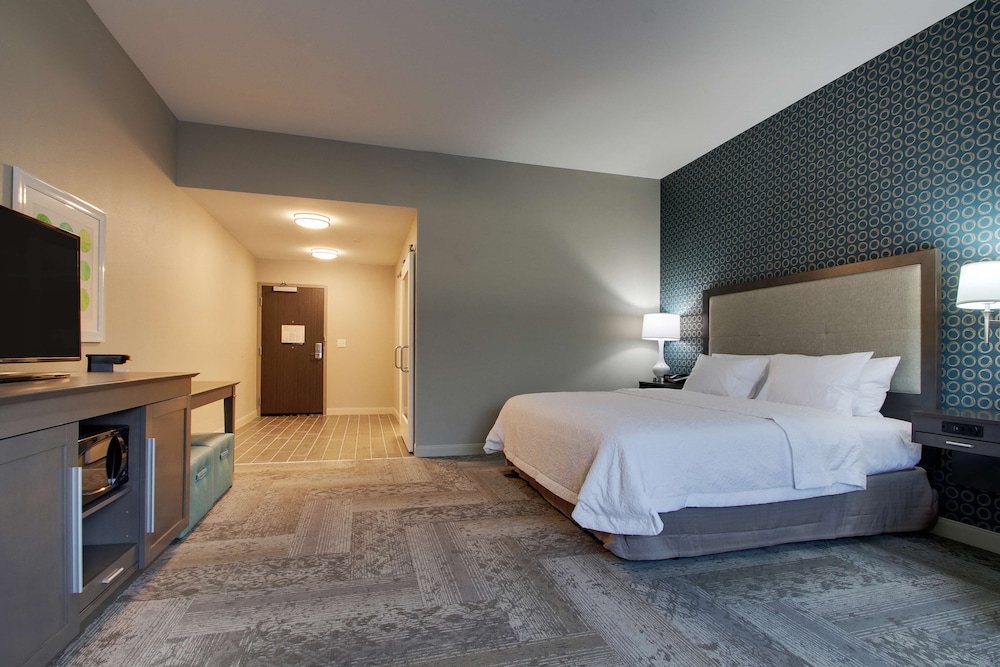 Room, 1 King Bed with Sofa bed, Accessible, Bathtub (Mobility & Hearing) photo 2