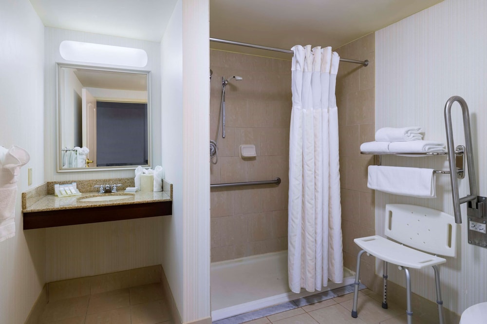 Room, 1 King Bed, Accessible (Mobility & Hearing, 3x3 Shower) - Photo 3