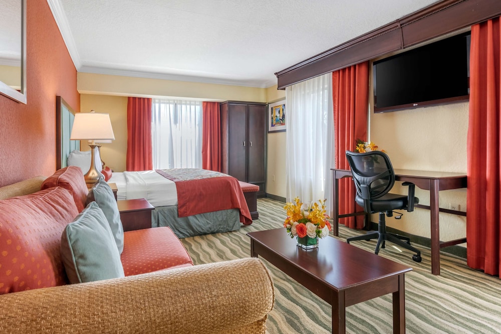 Suite, 1 King Bed, Accessible, Non Smoking (Walk-in Shower;with Sofabed)