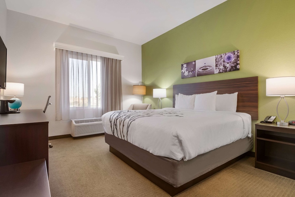 Room, 1 King Bed, Accessible, Non Smoking - Photo 1
