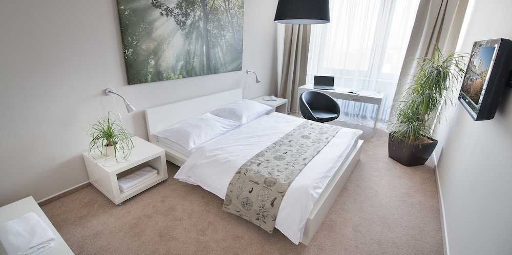 Double Room Single Use