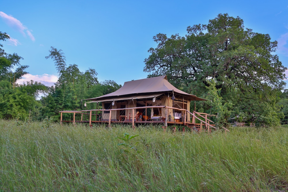 Luxury Tent, Patio (Suite) photo 1