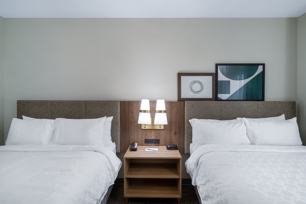 Suite, 1 Bedroom, Accessible, Kitchen (Communications) - Photo 1