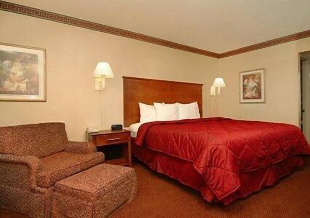 Standard Room, 1 King Bed, Non Smoking