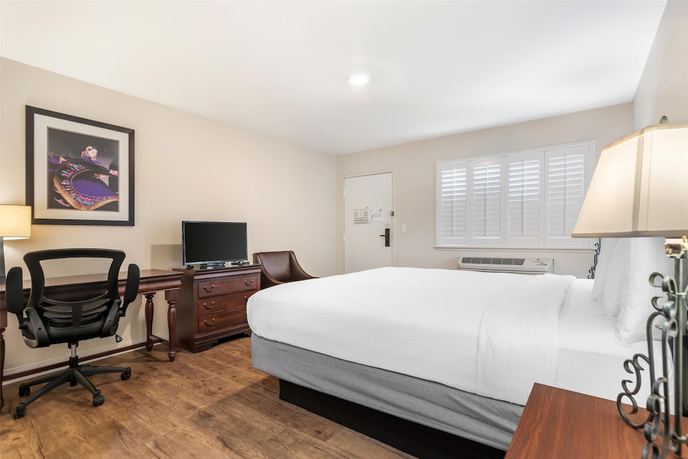 Standard Room, 1 King Bed, Non Smoking, Kitchenette (Shower Only) - Photo 3