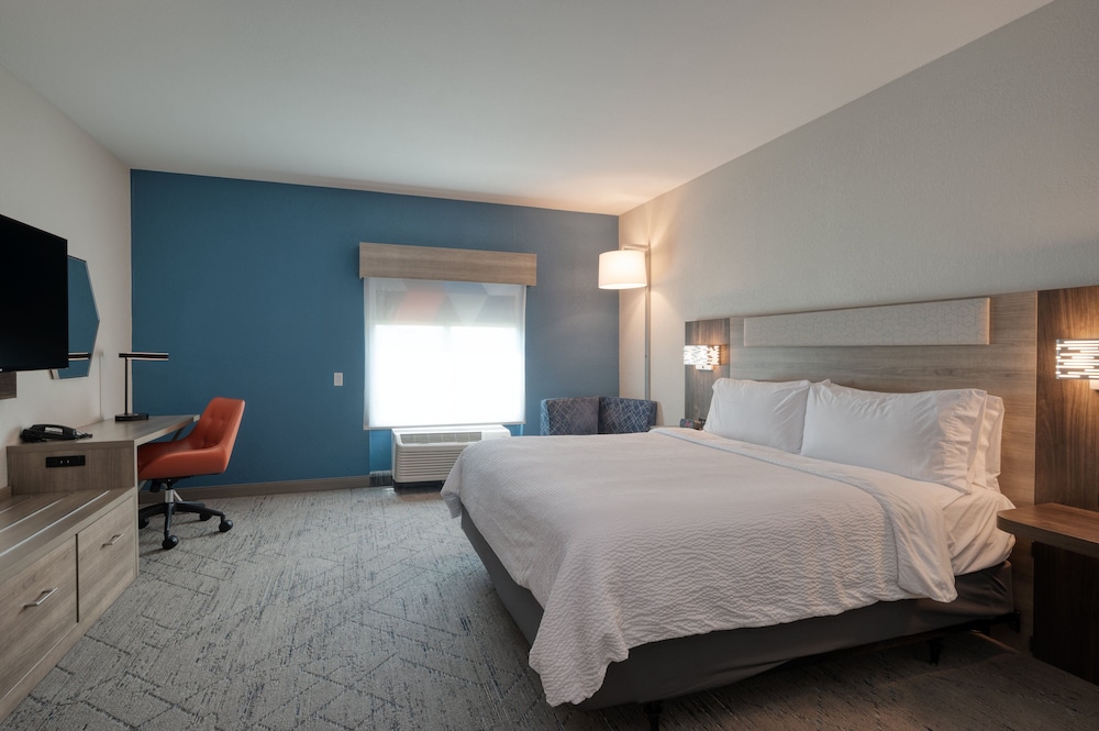 Standard Room, 1 King Bed, Accessible (Roll-In Shower) photo 1