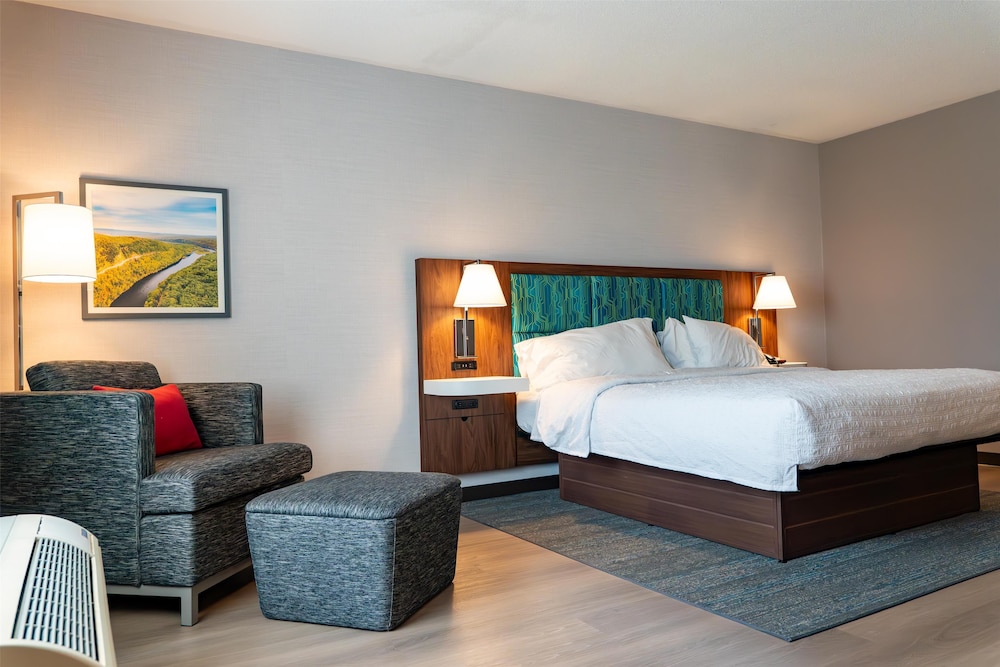 Room, 1 King Bed, Accessible - Photo 6