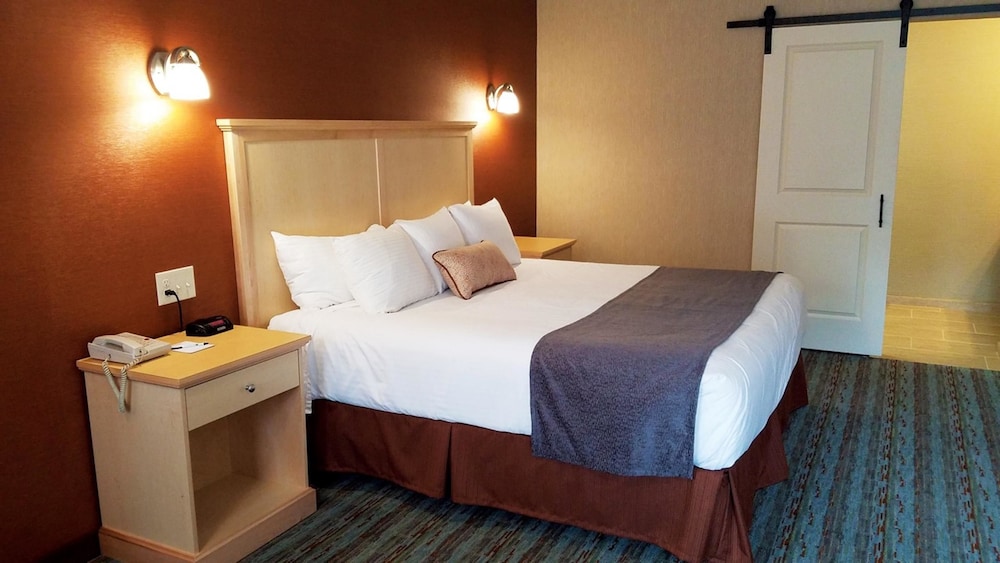 Suite, 1 King Bed, Non Smoking, Refrigerator & Microwave photo 1