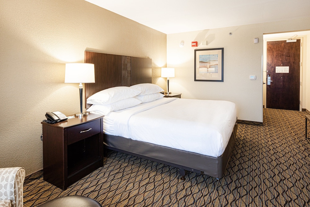 Suite, 1 King Bed - Photo 3