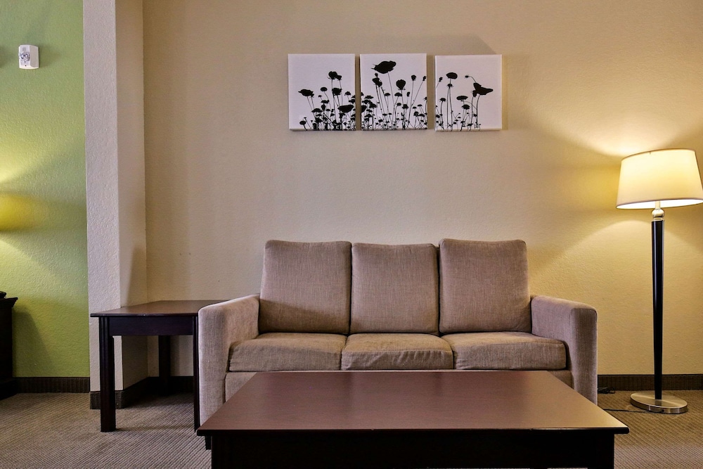 Suite, 1 King Bed with Sofa bed, Accessible, Non Smoking photo 3
