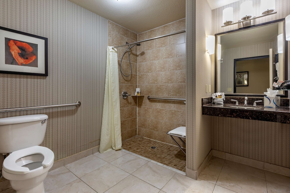 Suite, 1 King Bed, Accessible, Non Smoking (with Sofabed) - Photo 4