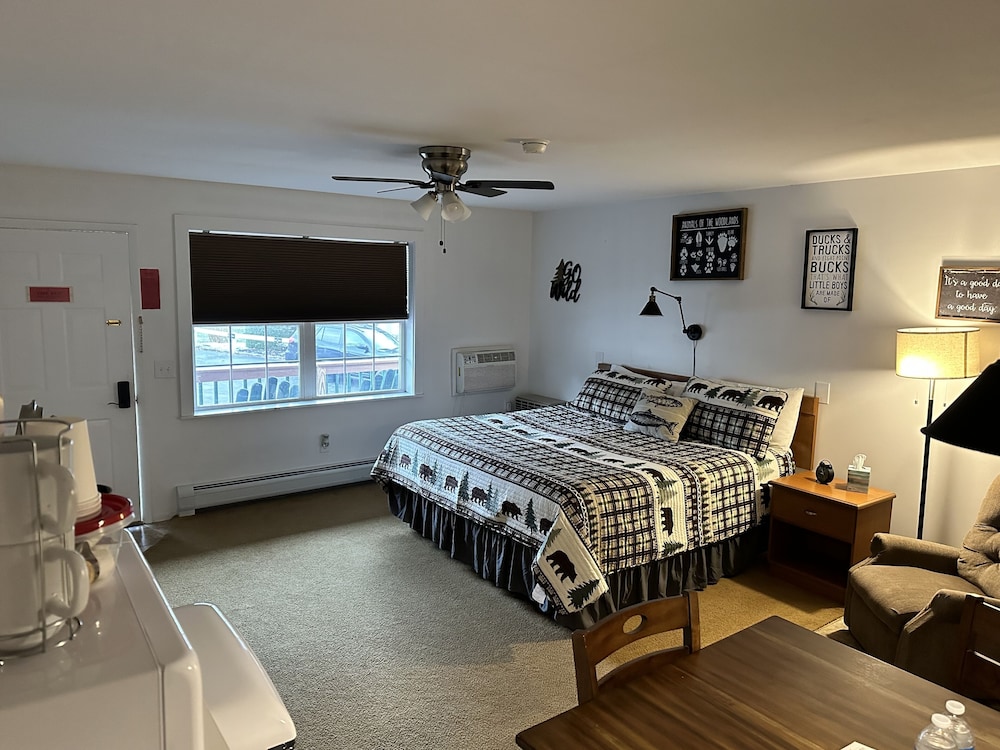 Room, 1 King Bed photo 1