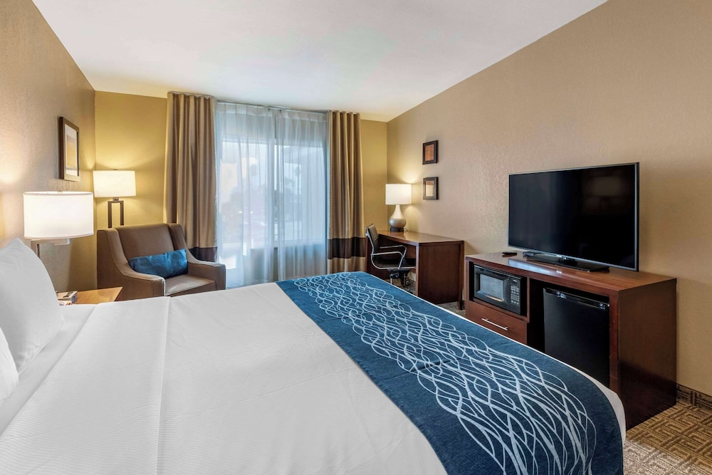 Standard Room, 1 King Bed - Photo 8