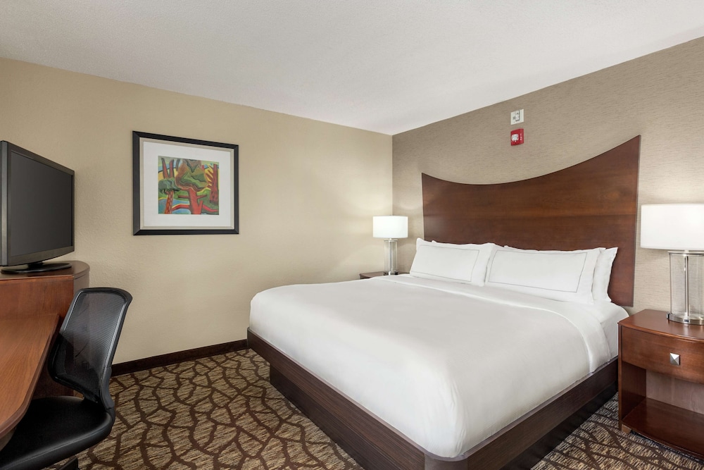 Deluxe Room, 1 King Bed, Non Smoking - Photo 1