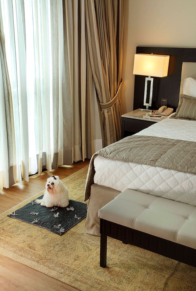 Superior Executivo com 2 Camas de Solteiro