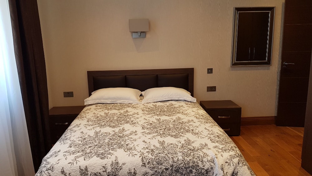 Deluxe Double Room, 1 King Bed photo 1