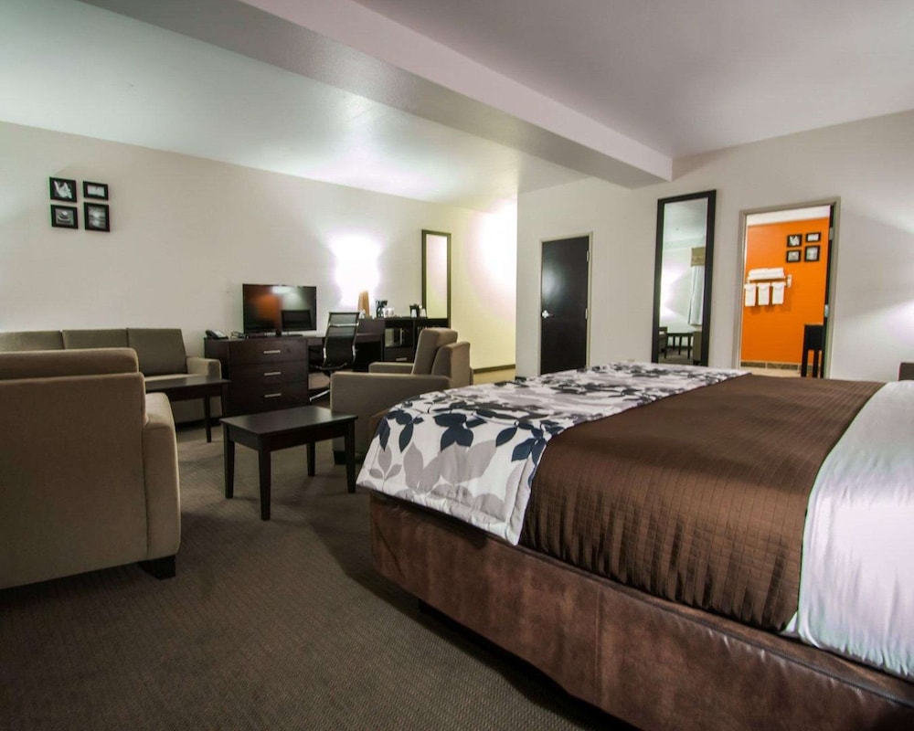 Suite, 1 King Bed with Sofa bed, Non Smoking (Efficiency) photo 3