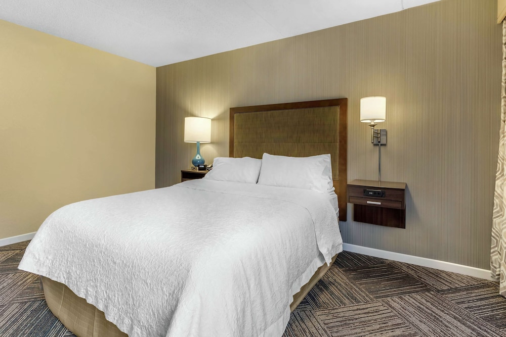 Room, 1 Queen Bed, Accessible, Bathtub (Mobility & Hearing) - Photo 4