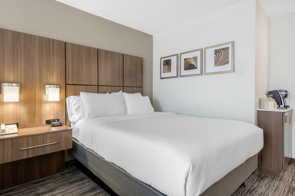 Standard Room, 1 King Bed, Accessible (Communications, Roll-In Shower) - Photo 3