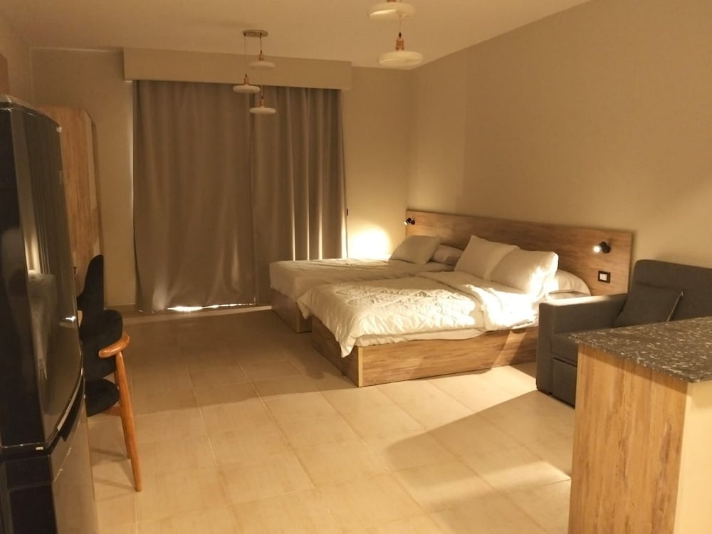 Classic Studio, Multiple Beds photo 3