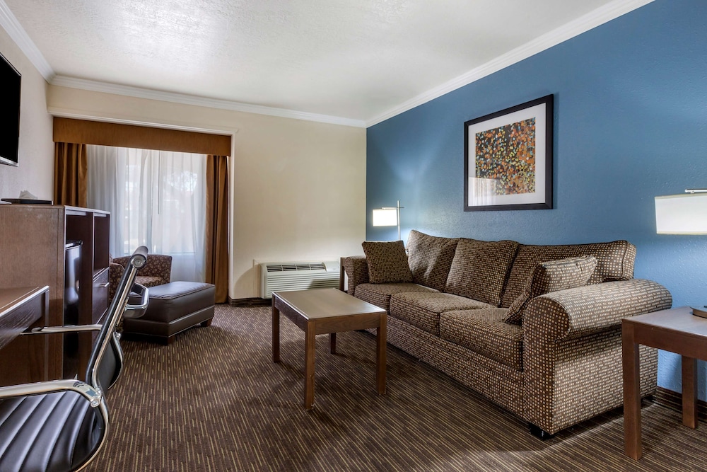 Suite, 1 King Bed with Sofa bed, Non Smoking, Kitchen (with Sofabed) photo 3