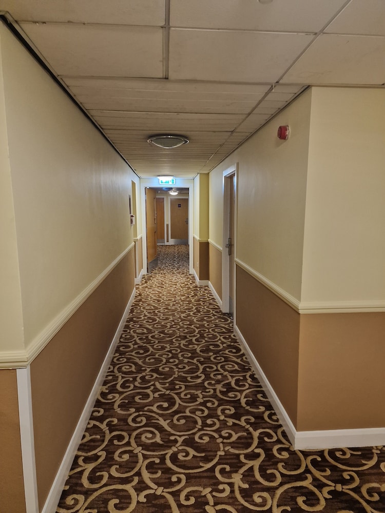Executive Twin Room - Photo 3