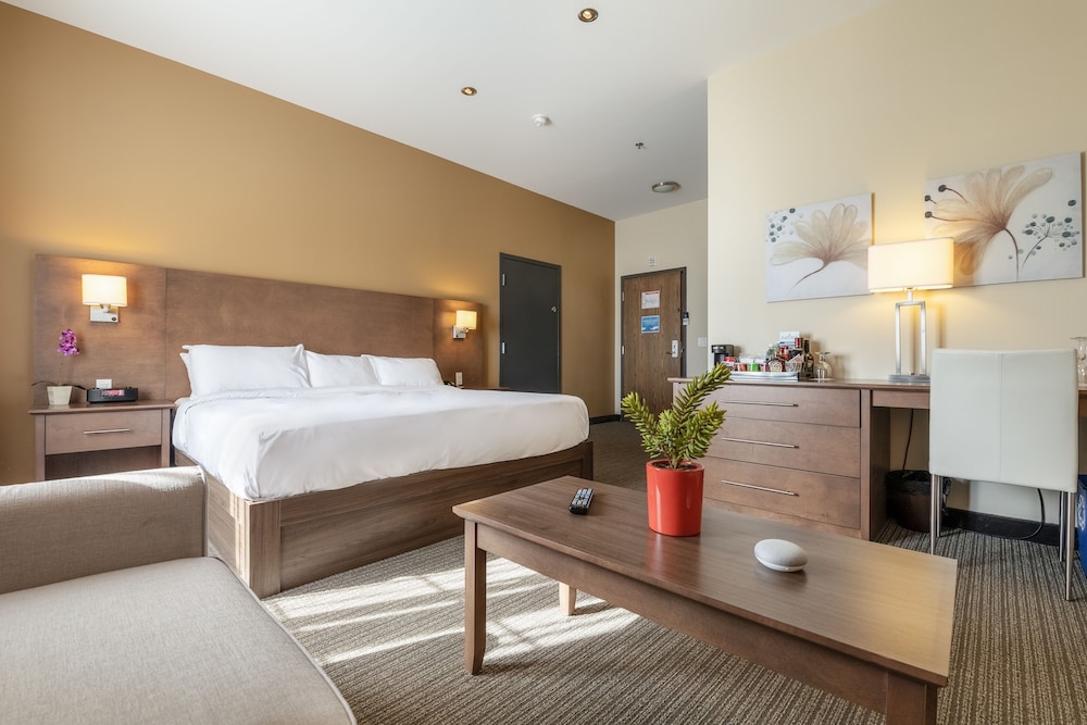 Superior Room, 1 King Bed with Sofa bed