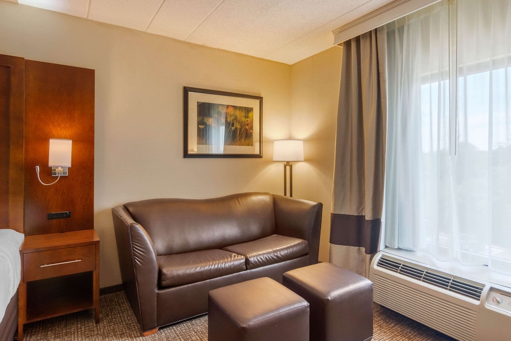 Studio Suite, 1 King Bed with Sofa bed, Accessible (Mobility and Hearing Accessible) - Photo 9