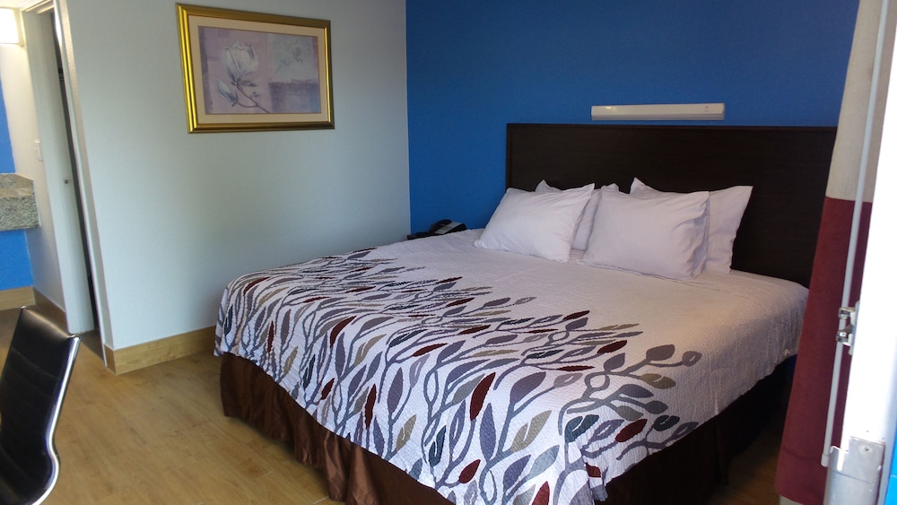 Comfort Single Room, 1 King Bed, Smoking photo 1