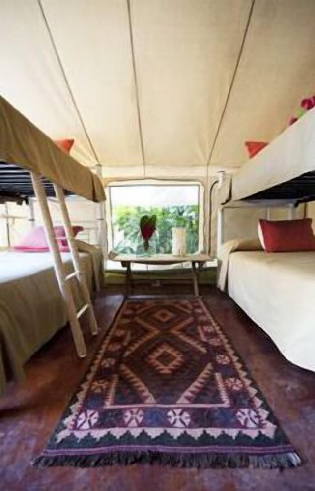 Suite (Safari) photo 1