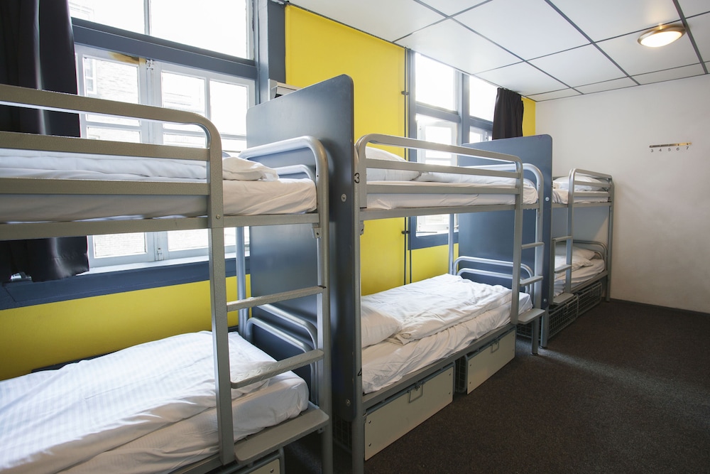Single Bed in a 12-Bed Dorm photo 1