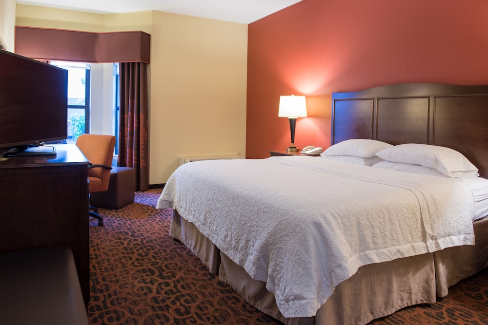 Room, 1 King Bed, Accessible, Non Smoking