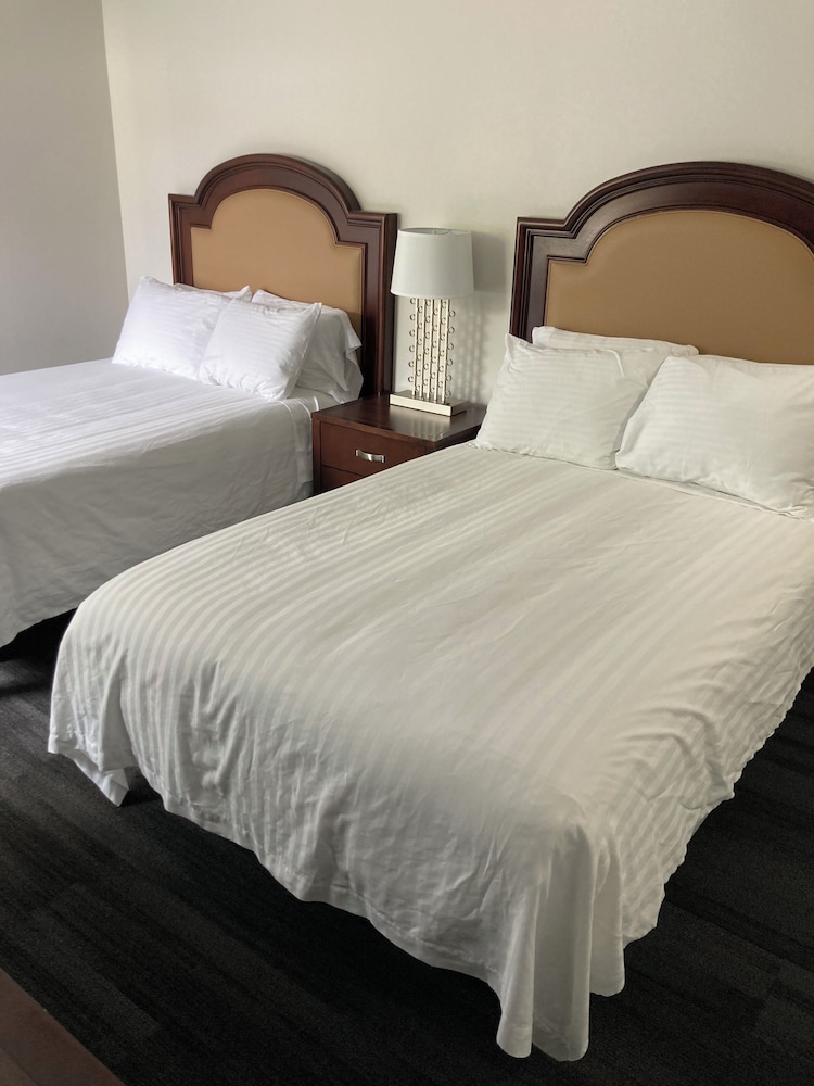 Room 107 - 2 Full Beds photo 1